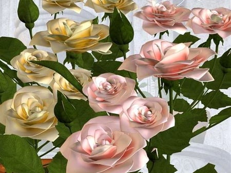 Dapples of light - roses, yellow, light, green leaves, pink