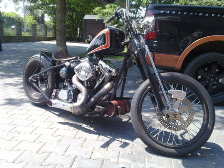 Harley-Davidson - davidson, motorcycle, hardtaill, harley