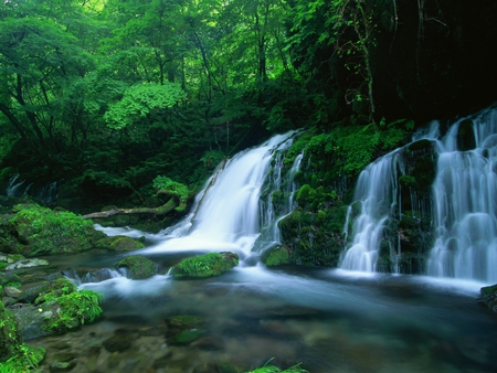 GREEN FOREST FALLS - nature, green, waterfalls, beautiful