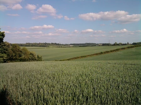 Open fields - fields, sky, crops, clouds, scenery, green, grass