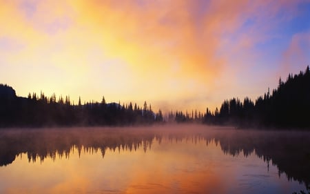 Misty Reflection - lake, reflection, nature, mist