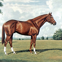 Secretariat - Triple Crown Winner F2