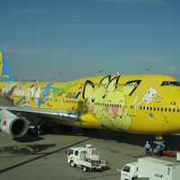 Pokemon Air Plain