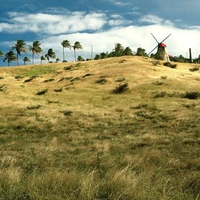 Morgan Lewis Sugar Mill St.Andrew Barbados