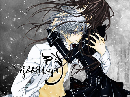 Don't Let Go... How To Say Goodbye - yuuki, anime, zero, zeki, vampire knight