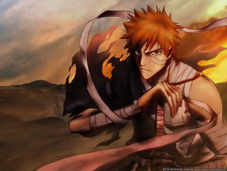 bleach - ichigo, sunset, dark, fire