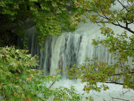 White Waterfall - white, trees, waterfall, green