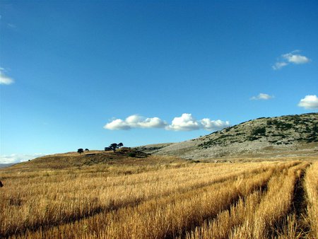 Enjoy Nature - nature, fields, blue sky, clouds