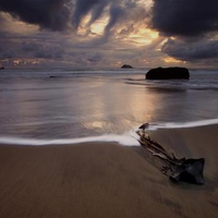 Maori-Bay-Muriwai-beach-New-Zealand