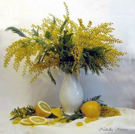 Nattallia Shloma. Ð›Ð¸Ð¼Ð¾Ð½Ð½Ð¾-Ð¼Ð¸Ð¼Ð¾Ð·Ð½Ñ‹Ð¹ Ð½Ð°Ñ‚ÑŽÑ€Ð¼Ð¾Ñ€Ñ‚ - painting, lemon, art, yellow, nattallia shloma, still life, flower, fruit