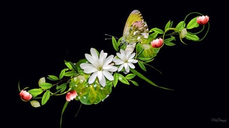 Flowers on Black - flowers, green vine, summer, swag, butterfly, spring, firefox persona, leaves