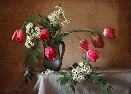 still life - pretty, elegantly, photo, flowers, nice, beautiful, photography, beauty, kettle, lovely, cool, still life, flower, tulip, bouquet, harmony, tulips