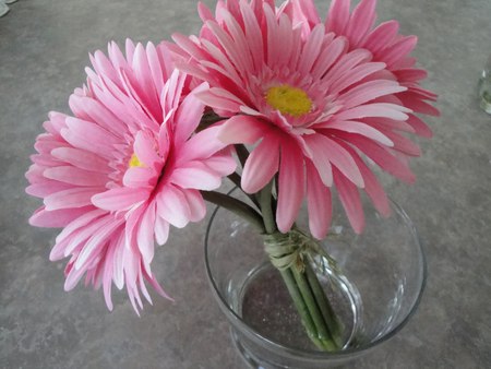 pinky - flowers, gerber, pink, vase