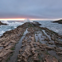 Tide Pools