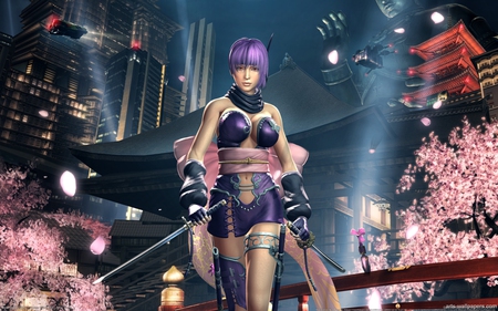 Sigma - anime, female, teen, girl, sword, assassin, fantasy, sigma, ninja gaiden, action, video game