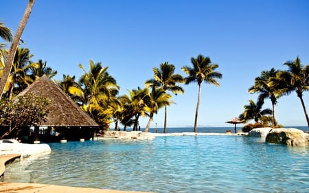 PARADISE ISLAND - fiji, vacation, beach, island, fiji islands, the pacific ocean, pool, palm trees, paradise, sun