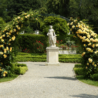 Roses Arch