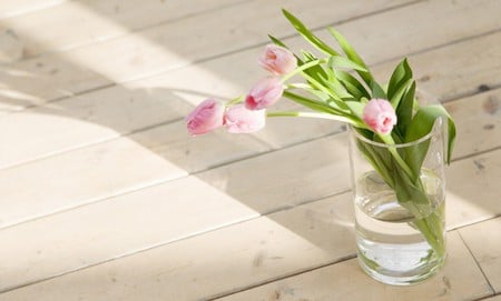 glass of beauty - flowers, tulips, nature, pink, stilllife, glass