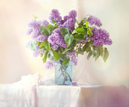 LILLACS - purple, simple, soft, flowers, table, lillacs