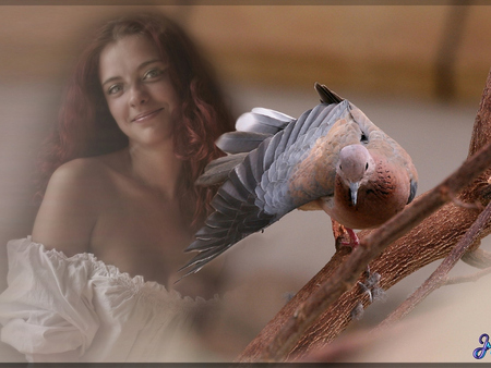 Beauty and the Dove - beauty, woman, abstract, dove, fantasy, bird