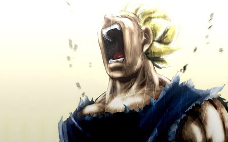 Vegeta goes eNrage - ss, dragonballz hd wallpapers, angry, rage, super, 1080p, saiyajin, dragonball, cool, z fighter, enrage, hd, vegeta, fight, z-fighter, dragonball z, awesome