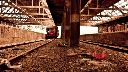 Forgotten train - railway, train, station, urbex