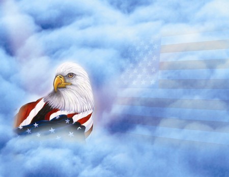 PATRIOTIC - american, eagle, patriotic, bald, flag