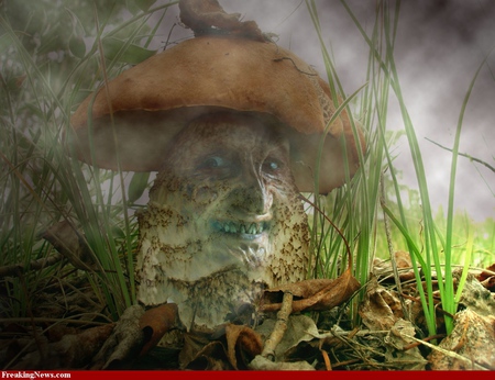 SCARY MUSHROOM - freaky, mushroom, scary, looking