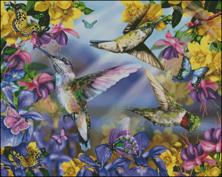 HUMMINGBIRD PARADISE - humming, flowers, animals, birds