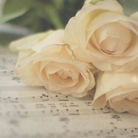 Music and Roses