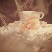 tea and rose