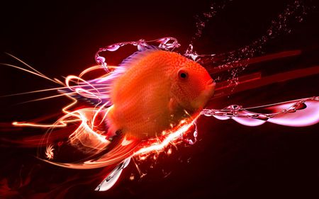 Digital Red Fish - colour, underwater, red, orange, fish, marine