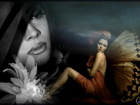 Butterfly Woman - butterfly, beauty, fantasy, woman