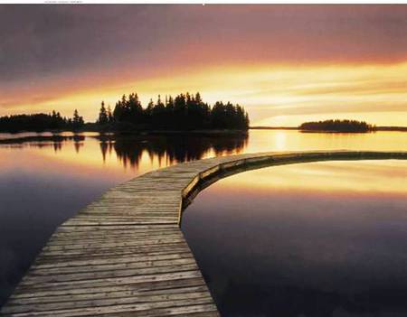 Sunset Walk - boardwalk, lake, trees, sun, water, sunset