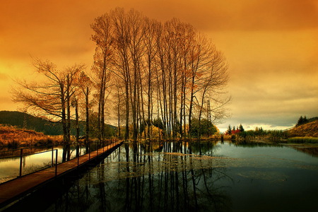 Autumn Sunset - autumn, trees, river, sunset, colors, wonderful, nice place