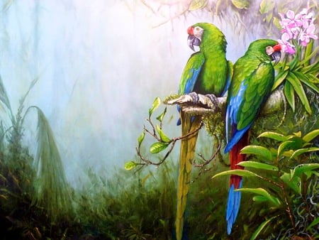 MACAW ART - parrots, artist, nortin, military