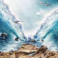 THE GREAT SEA