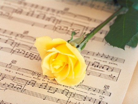 Sweet memories - love, sunshine, music, song, notes, one, rose, the only, yellow, forever, memories, sweet, flower