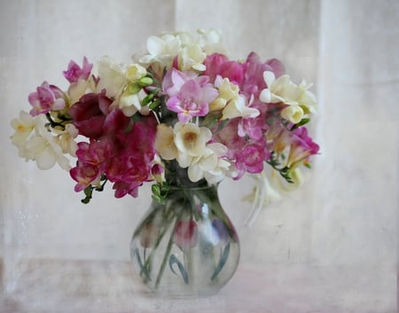 fresias - pitcher, flowers, still life, glass