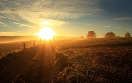 SUNRISE - horizon, sky, fence, trees, way, sun, light, stunning, nature, pretty, clouds, dawn, beautiful, golden, sand, sunrise