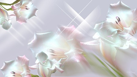 Perfection - stars, soft, shine, bright, pink, flowers, firefox persona, lavender, pearl