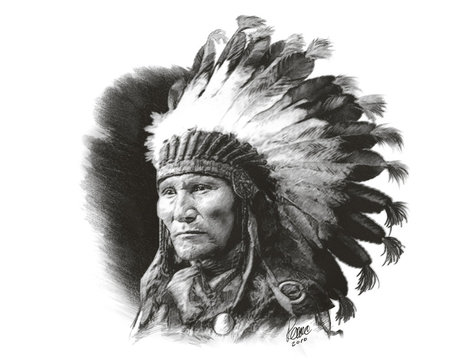 Son of Sitting Bull - black and white, plumed headdress, warrior, native