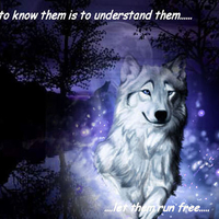 to know the wolf is to cherish the wolf