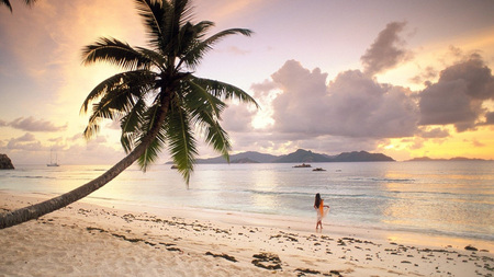 Sunset in Paradise - beautiful, setting, beaches, walking, girl, tree, palm, sunset, nature, tropical, cloudy