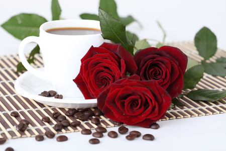 good morning roses