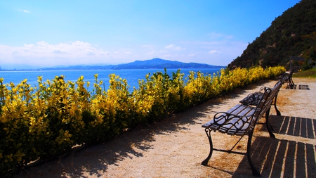 JUST SIT AND VIEW - benches, montain, plants, ocean