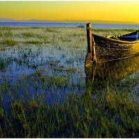 BOAT AT SWAMP