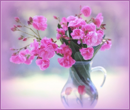 soft pink - flowers, soft, pink, still life, glass pitcher