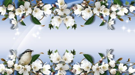 Apples Blossoms - bird, blue, spring, stars, firefox persona, apple blossoms, flowers, fruit, gradient, shine