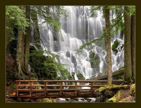 Ramona-Falls-Mount-Hood-Wilderness-Oregon-USA - waterfalls, nature, waterfall, beautiful, falls, tree, bridge, leaves